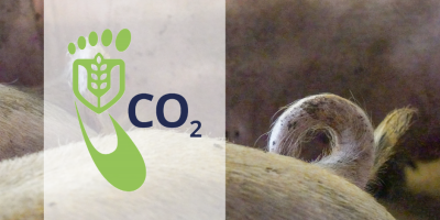 Carbon Footprint, Voederwaarde.nl, betrouwbaar